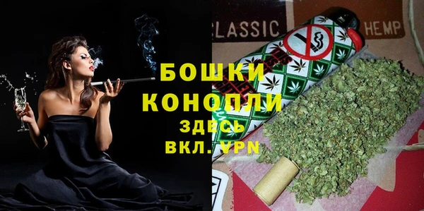 крисы Михайловск