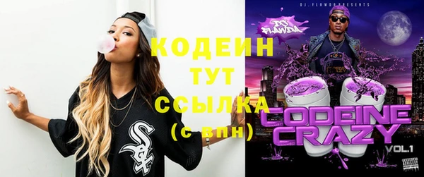 крисы Михайловск
