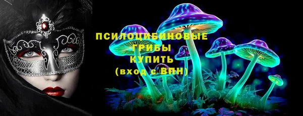 крисы Михайловск
