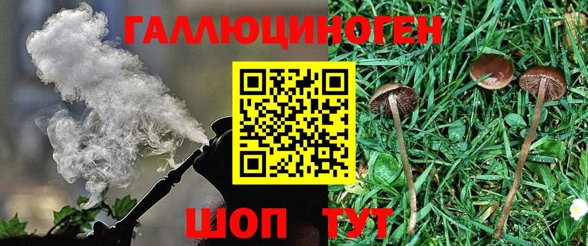 цены   Псилоцибиновые грибы мухоморы  Минеральные Воды  Псилоцибиновые грибы мицелий 