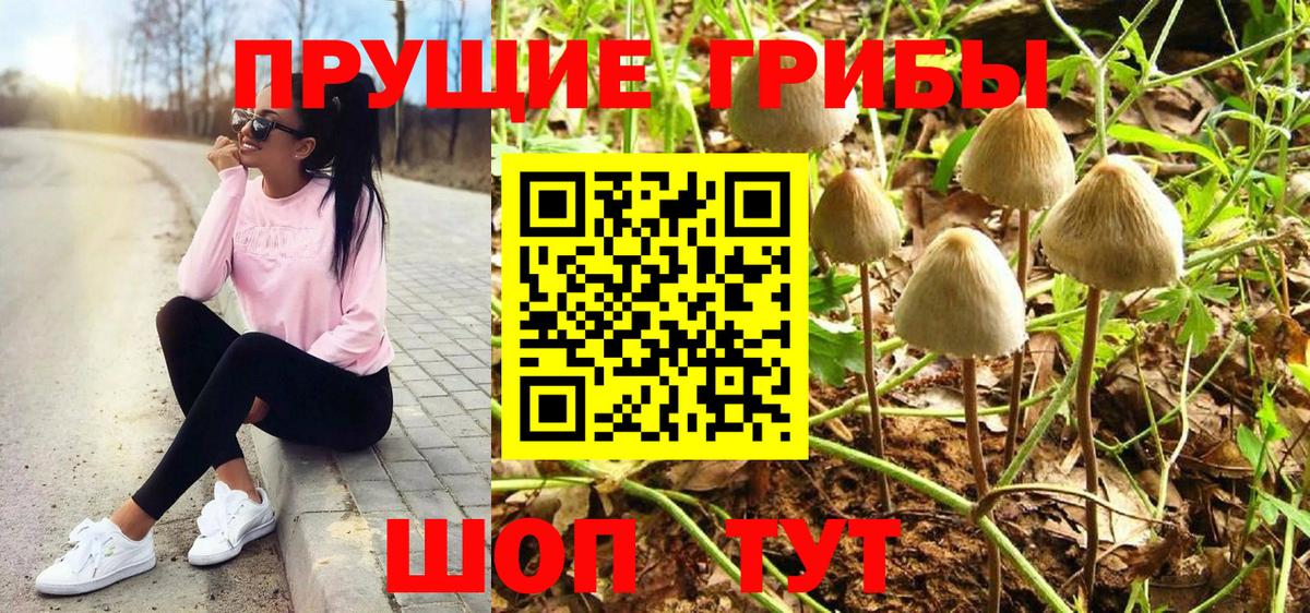 Галлюциногенные грибы ЛСД  Вход с VPN  Минеральные Воды 